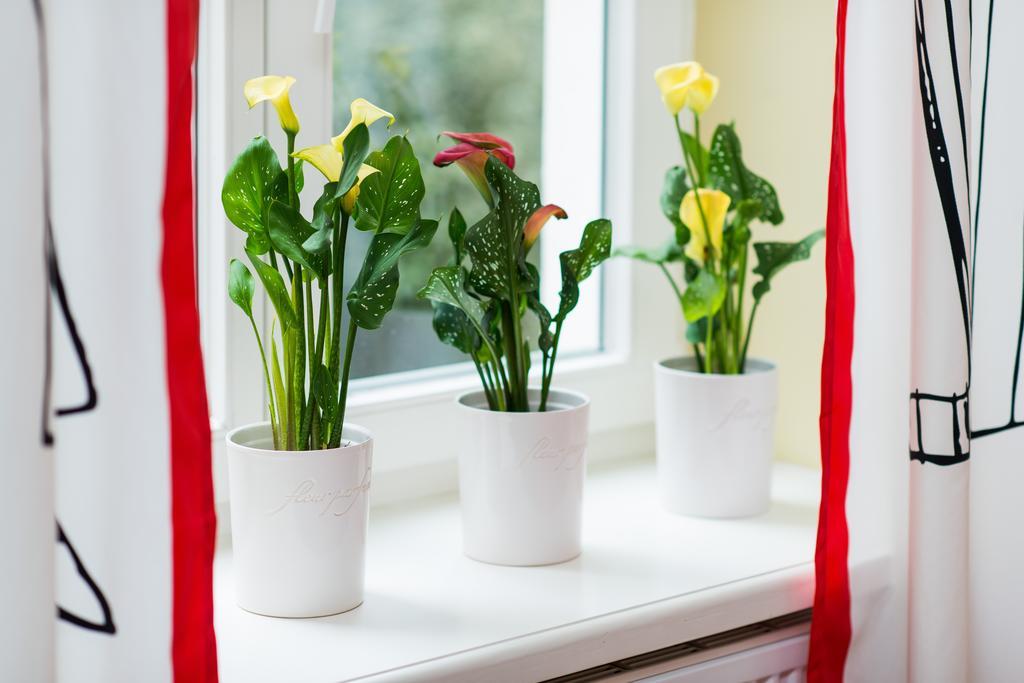 Style4Rent Sunny Old Town Apartments Krakau Kamer foto